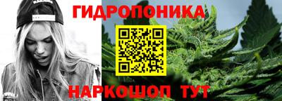 дурь Можга