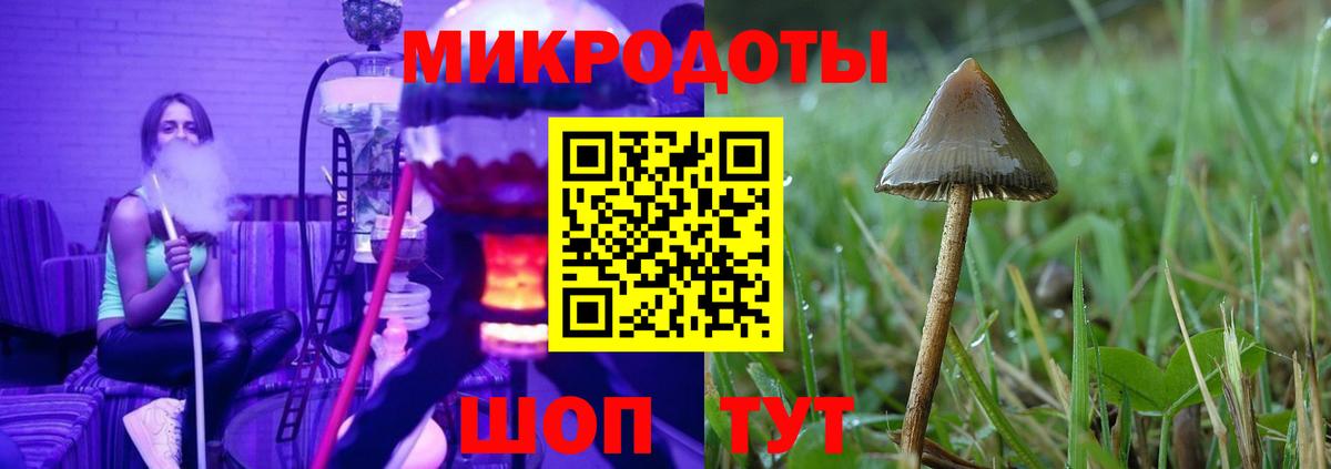 Ухта  Галлюциногенные грибы прущие грибы  Вход с VPN 